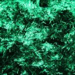 Glitter-Strings—Green